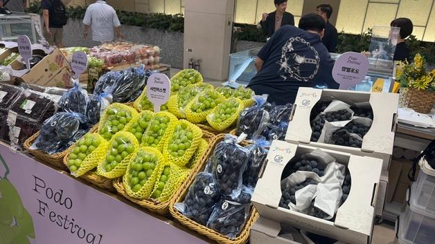 옥천 포도 현대백화점 페스티벌서 1200상자 완판