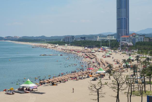 밤에도 문 연 낙산해변 통했다…양양 피서객 29% '껑충'