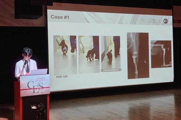 "강아지 슬개골 탈구, 방치하면 관절 손상…무릎에 임플란트 적용"