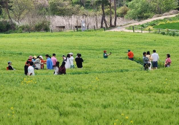 "고창에서 놀고 쓰면 절반 환급"…'반띵여행' 지역경제 웃음꽃