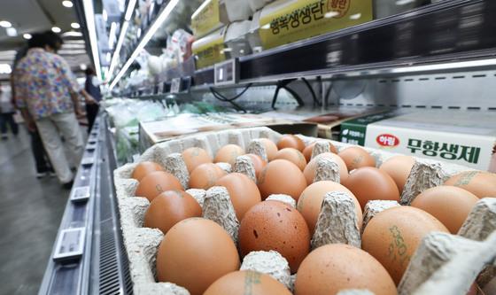 계란 생산량 회복 전망…가격은 여전히 높아