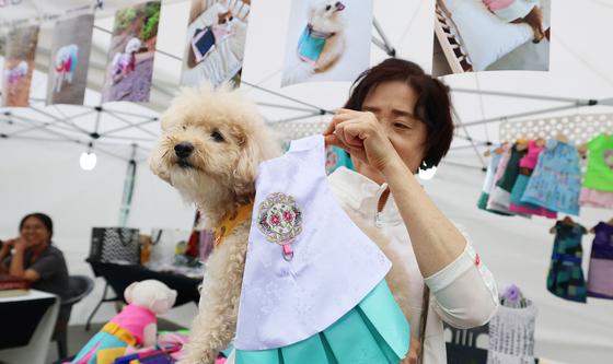 댕댕이도 한복 맵시
