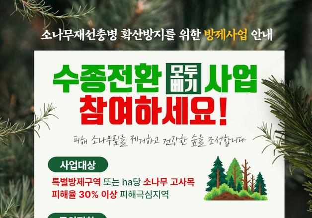 "늦기 전 숲을 바꿔야"…태안군, 소나무재선충병 나무 모두 벤다