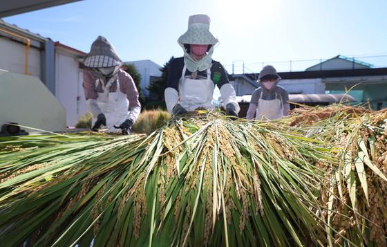 [오늘의 날씨] 전남광주(9일, 수)…10도 안팎 큰 일교차