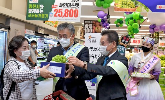 "영천 샤인머스켓 품질 보증합니다"