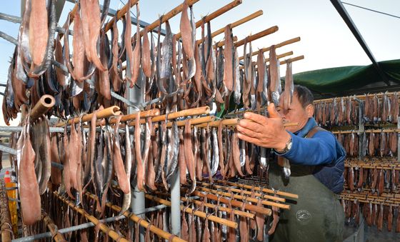 제철맞은 과매기 덕장