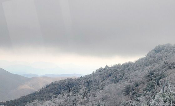 상고대 핀 덕유산 국립공원