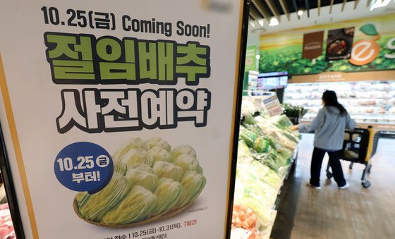 다가오는 김장철 한포기 5000원 넘을듯…'비상'