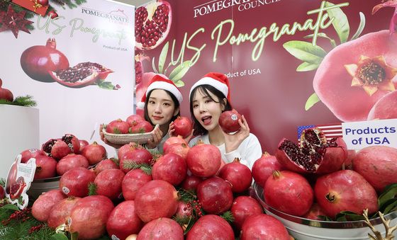 붉은 보석 '미국 석류' 출시