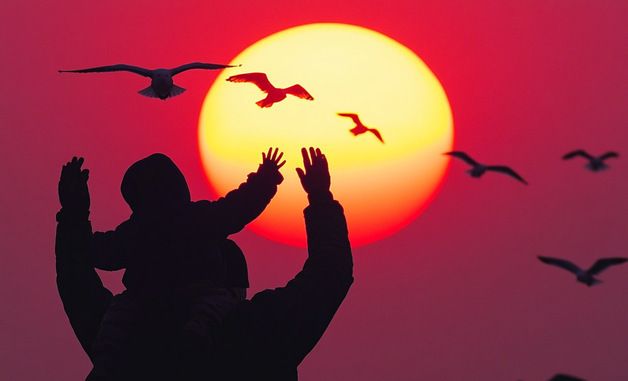 [희망 2025]어둠을 뚫고 솟아오른 찬란한 희망