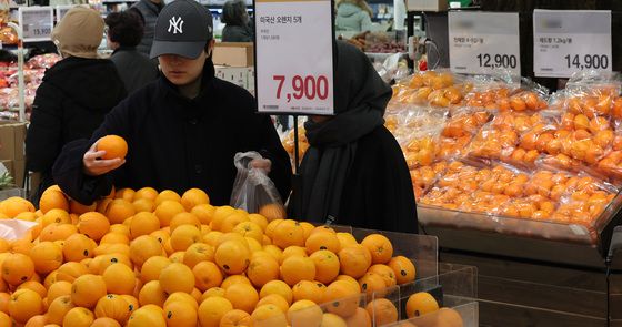 감귤 대신 오렌지