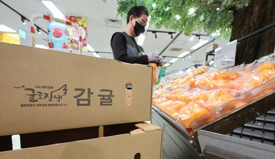금값이 된 감귤