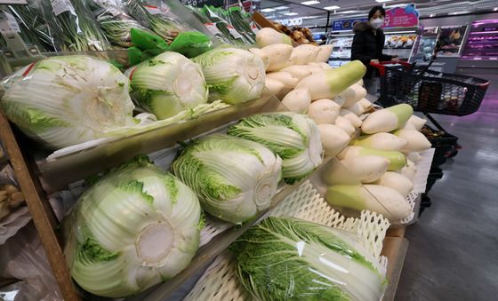 설 앞두고 배추와 무 가격 급등