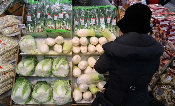 '채소 값 너무 올랐네'