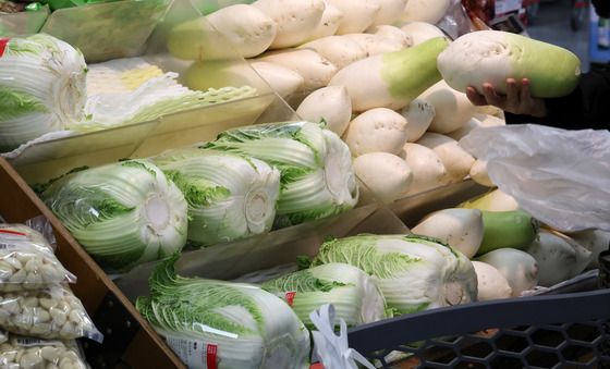 설 앞두고 채소 값 급등, 무 120% 상승