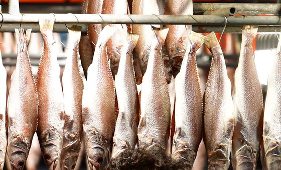 재수용 생선이 주렁 주렁