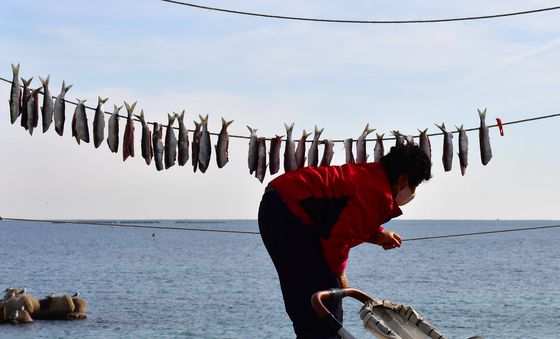 청어가 주렁주렁