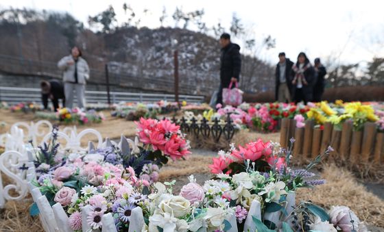설 앞두고 성묘하는 성묘객들