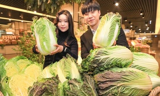 겨울 입맛을 돋우는 아삭갓배추 만나보세요