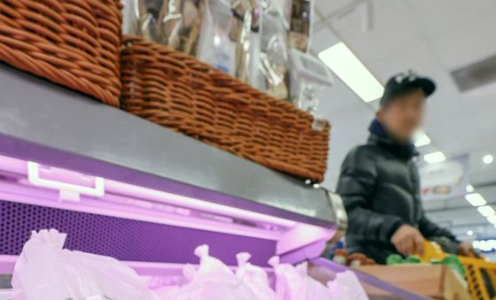 설 명절 앞두고 AI 확산에 닭고기 수급 우려