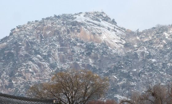 눈 내린 경복궁 산책
