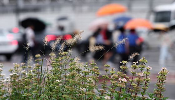 가을비 내리는 서울