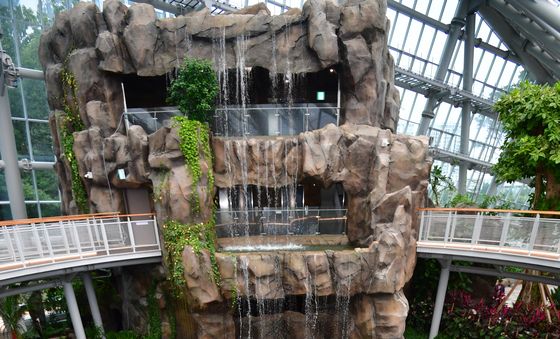 연휴 마지막은 포항 환호공원 식물원에서