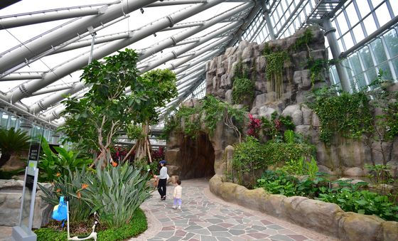 포항 환호공원 식물원 '열대로의 초대'