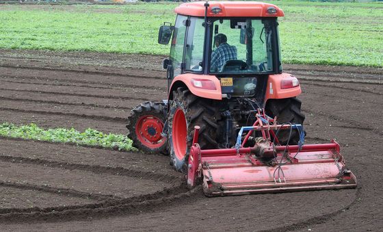 양파 심을 밭 갈아요