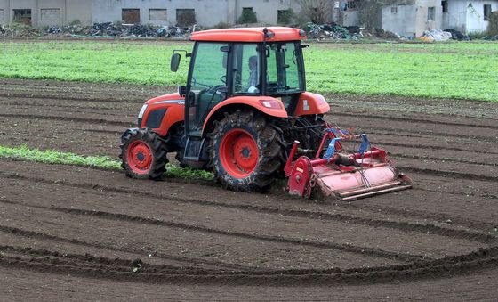 '양파 심을 준비합니다'