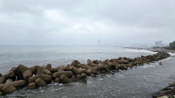 해무에 덮인 포항영일대해수욕장