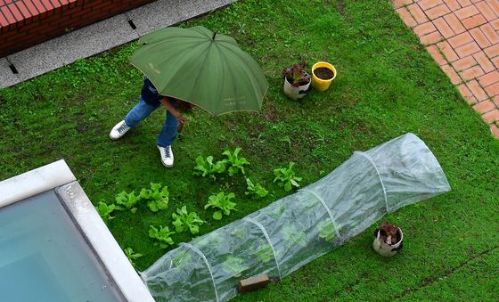 포항시청 옥상 나만의 텃밭