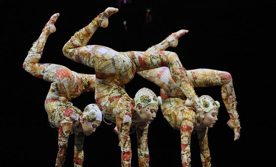 '극강의 유연성'