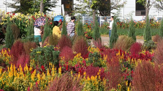 평택서 개막한 2025 경기정원문화박람회