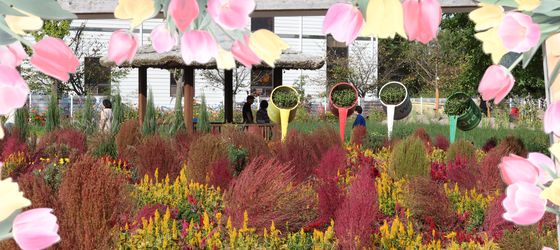 가을의 가운데에서