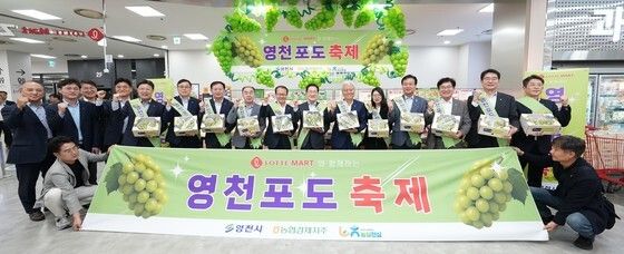 "롯데마트에서 영천포도 축제합니다"