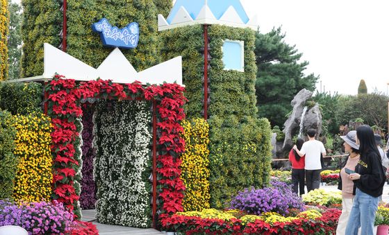 가을 물들이는 유성국화축제