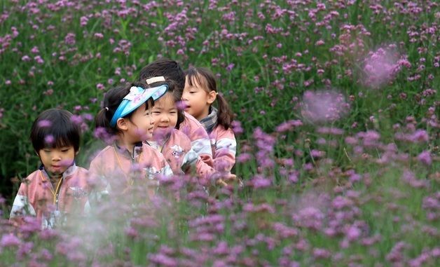 '인제에서 꽃길만 걷자'