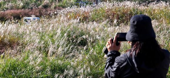 가을 만끽하는 시민들