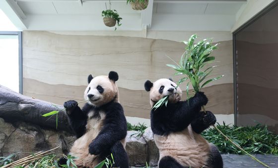 저희 새로운 집 구경오세요