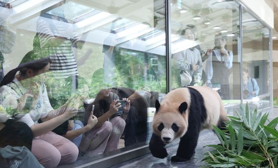 쌍둥이 판다 집들이 왔어요