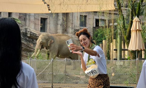 삼성전자, '갤럭시 워치런 @사파리' 성황리에 끝마쳐