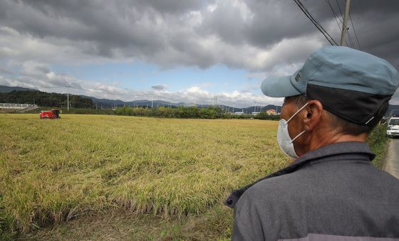 추수하는 농민, 마음은 먹구름