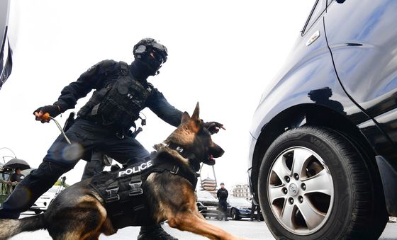 가상의 폭발물 발견한 탐지견