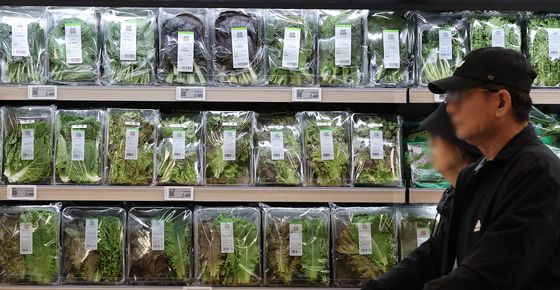 상추값 급등, 한 달 만에 생산자물가지수 상승세로 전환