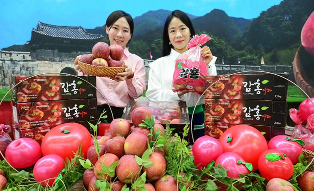 농협유통 하나로마트, '감홍 사과' 올해 처음 판매