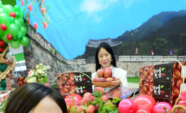 농협유통 하나로마트, '감홍 사과' 올해 처음 판매