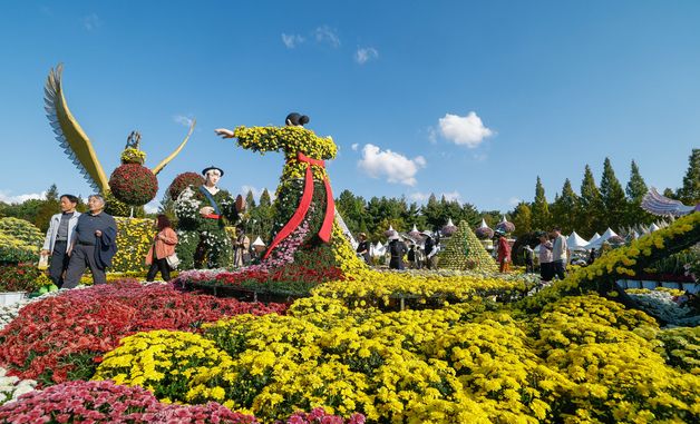 익산 천만송이 국화 축제