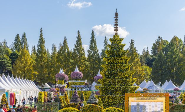 22번째 막 오른 \'익산 천만송이 국화축제\'