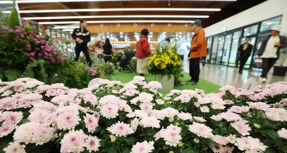 경기도농업기술원, 영흥수목원서 장미·국화 생생전시회 개최